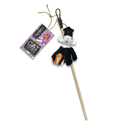 Archibald Mouse Eco Cat Teaser- Green and Wild’s