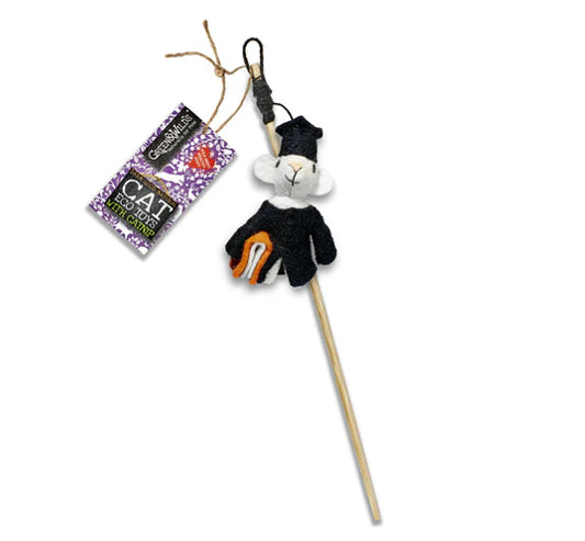 Archibald Mouse Eco Cat Teaser- Green and Wild’s