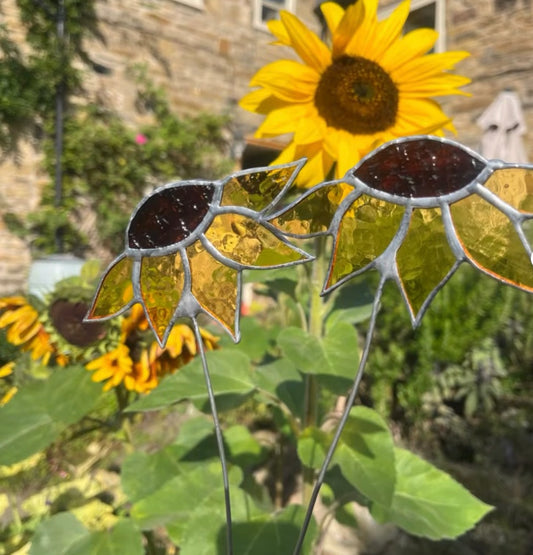 Glass Sunflower- Peak refractions