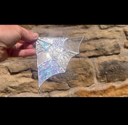 Glass Spider web- Peak Refractions