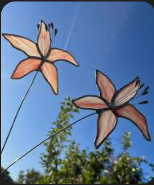 Glass Lily- Peak Refractions